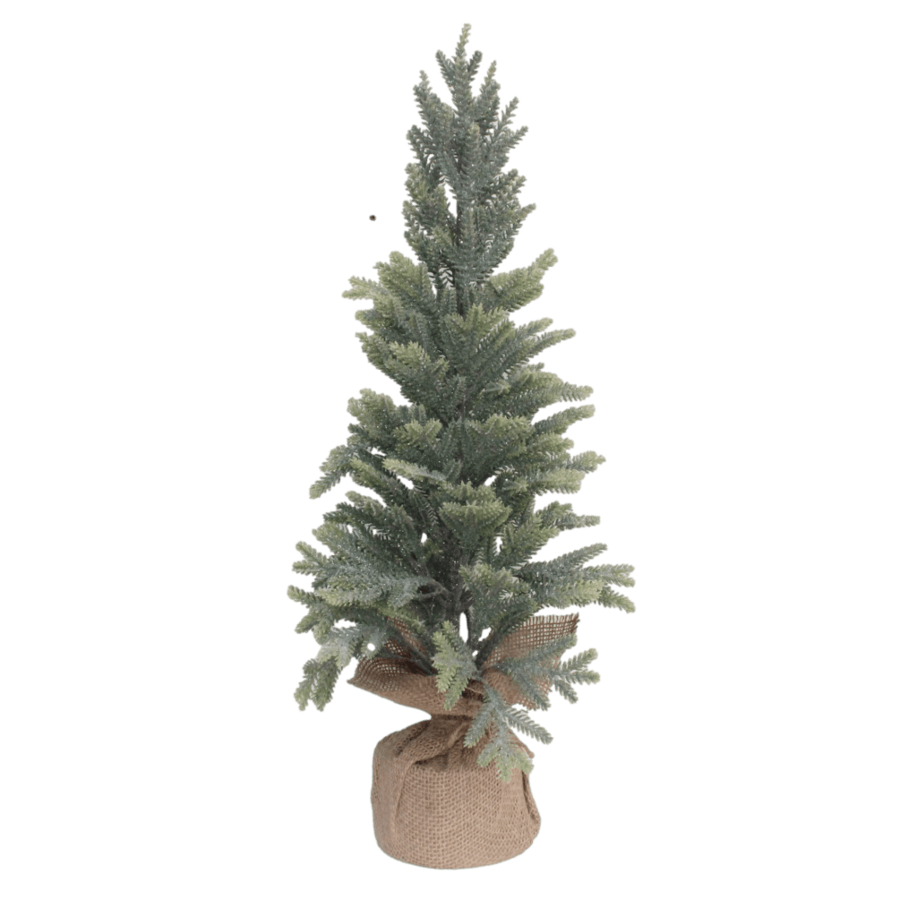 needle-pine-tree-samx-trading