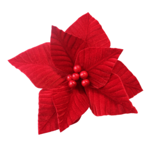 POINSETTIA - RED W/RED BALL STAMEN
