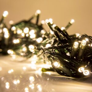 IN/OUTDOOR 100 WARM CONNECT LIGHTS - ENCLOSED PINS